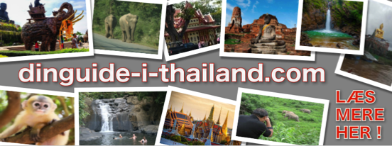 dinguide-i-thailand.com